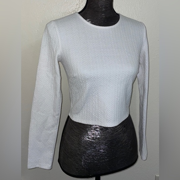 Long Sleeve Crop Top - Picture 2 of 14